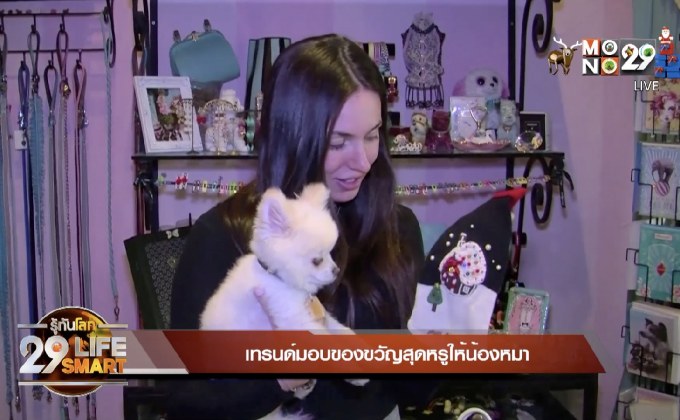 29 Life Smart : เทรนด์มอบของขวัญสุดหรูให้น้องหมา
