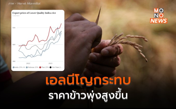 เตรียมตัว “ข้าวแพง” เอลนีโญกระทบราคาข้าวในตลาดโลก