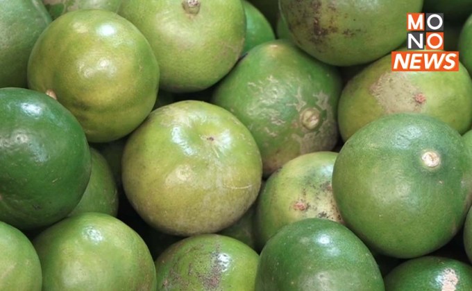 แม่ค้าโอด! “มะนาวแพง” แบกต้นทุนหนัก คาดเดือนหน้าแตะลูกละ 12 บ.
