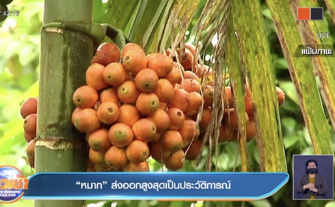 “หมาก”ส่งออกสูงสุดเป็นประวัติการณ์