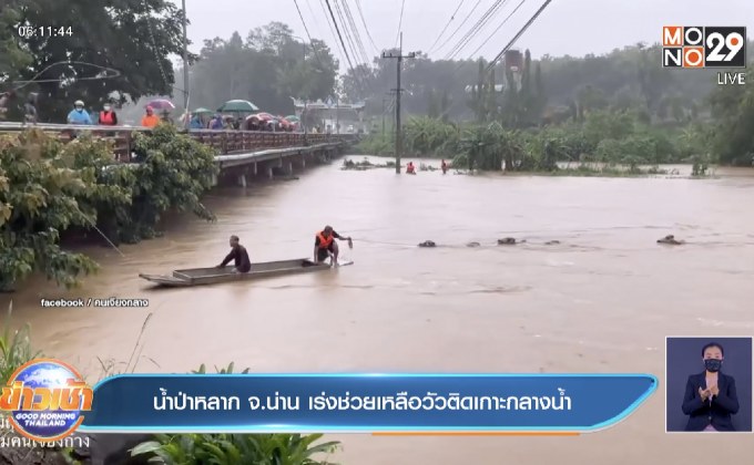 น้ำป่าหลาก จ.น่าน เร่งช่วยเหลือวัวติดเกาะกลางน้ำ