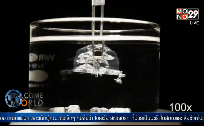 หุ่นยนต์กระดาษพับ Origami