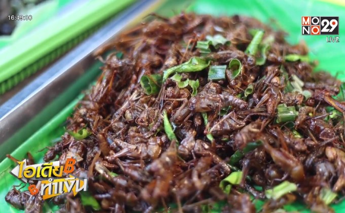 ไอเดียทำเงิน “บ้านแมลงทอด” โปรตีนทางเลือกตักละ 20 บาท