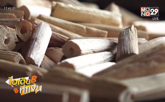 ไอเดียทำเงิน “ตบชวา” วัสดุกันกระแทกเพื่อสิ่งแวดล้อมและชุมชน