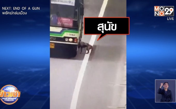 ขอบคุณ พนักงาน ปอ.166 ช่วยชีวิต”น้องหมา”รับจากทางด่วน