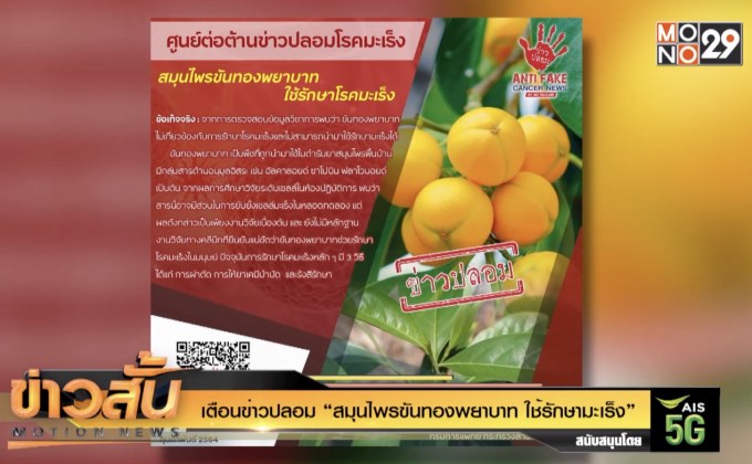 เตือนข่าวปลอม “สมุนไพรขันทองพยาบาท ใช้รักษามะเร็ง”