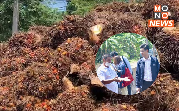 “พาณิชย์” ตรวจเข้มลานเท โรงสกัดน้ำมันปาล์ม ปกป้องสิทธิเกษตรกร