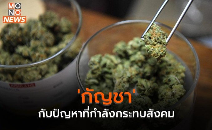 ‘กัญชา’ กับปัญหาที่กำลังกระทบสังคม