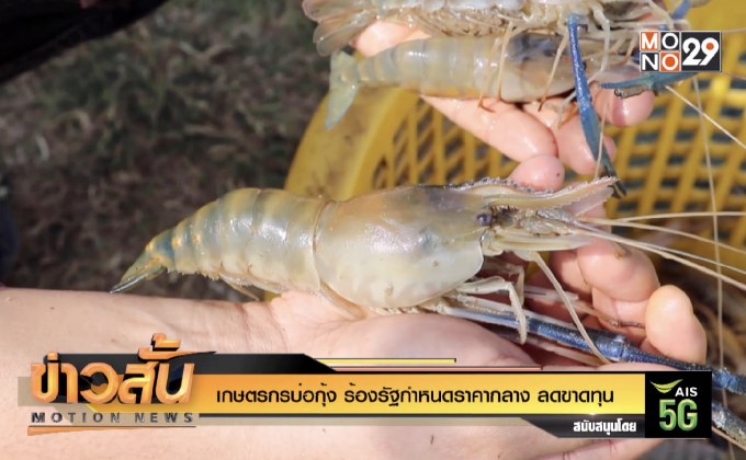เกษตรกรบ่อกุ้ง ร้องรัฐกำหนดราคากลาง ลดขาดทุน