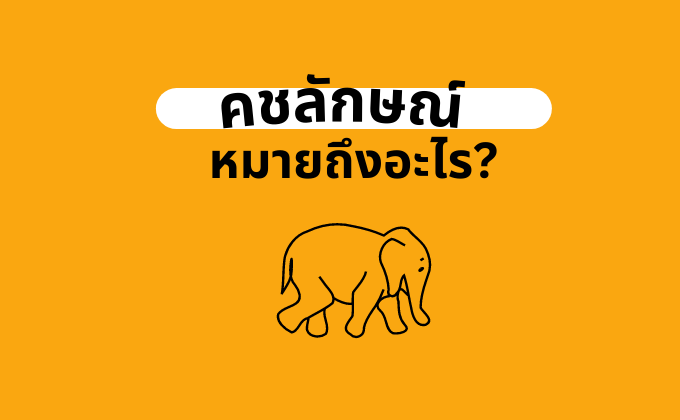 คชลักษณ์คืออะไร ความหมายของคำว่า คชลักษณ์