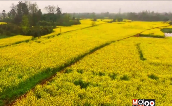 ฤดูใบไม้ผลิมาเยือน