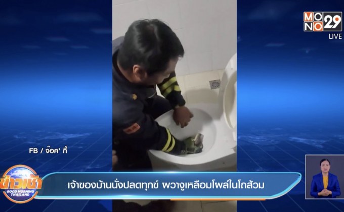 เจ้าของบ้านนั่งปลดทุกข์ ผวางูเหลือมโผล่ในโถส้วม