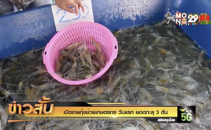 เปิดขายกุ้งช่วยเกษตรกร วันแรก ยอดทะลุ 3 ตัน