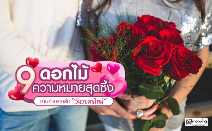 9 ดอกไม้ ความหมายสุดซึ้ง แทนคำบอกรัก “วันวาเลนไทน์”