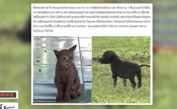 MTHAI Update