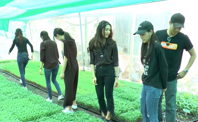 ผู้ประกาศ-นักแสดงโมโนฯ ร่วมปลูกดาวเรือง ถวาย ร.9