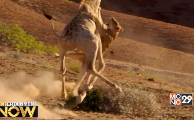 Planet Earth II เผยสาเหตุที่ต้องรอคอยภาคต่อถึง 11 ปี